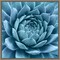 Silvery Blue Agave by Jan Bell 16-in. W x 16-in. H. Canvas Wall Art Print Framed in Grey